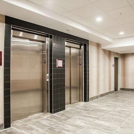 Hilton Garden Inn Tampa Suncoast Parkway Lutz Bagian luar foto