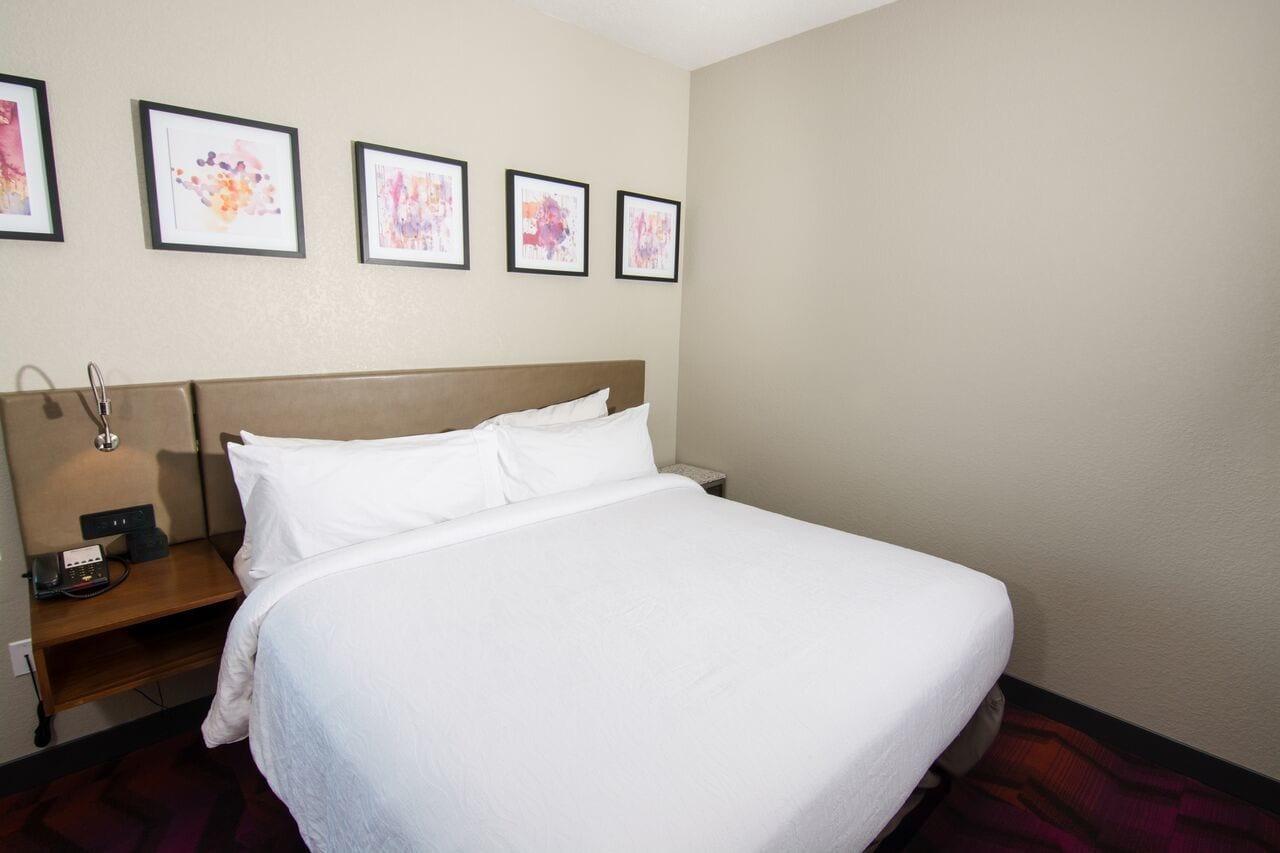 Hilton Garden Inn Tampa Suncoast Parkway Lutz Bagian luar foto