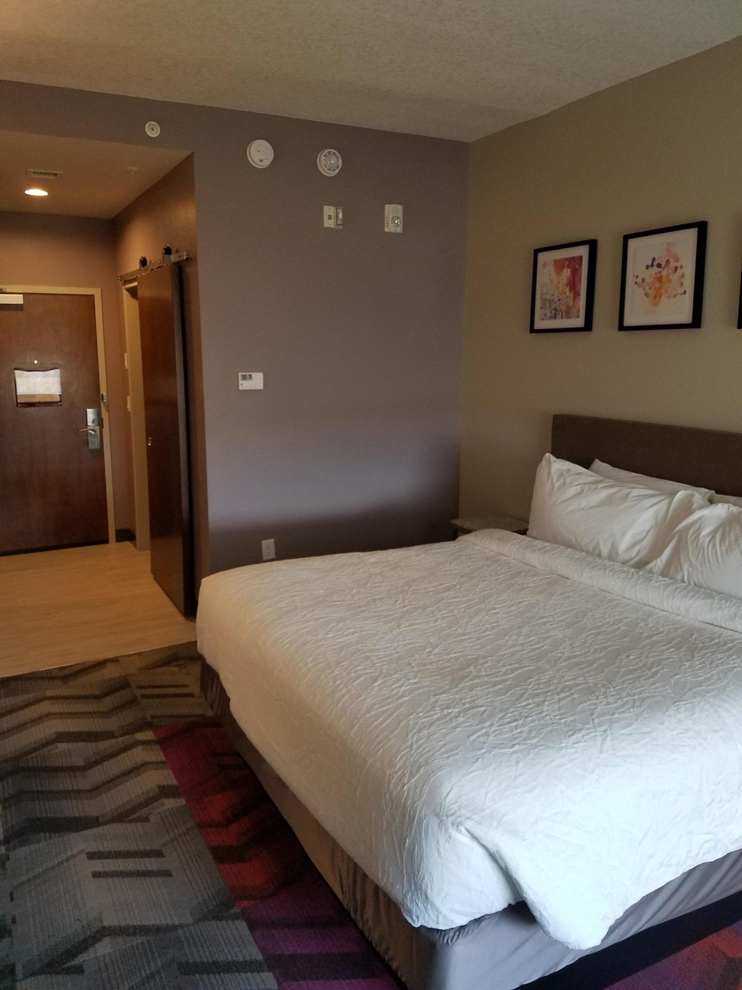 Hilton Garden Inn Tampa Suncoast Parkway Lutz Bagian luar foto