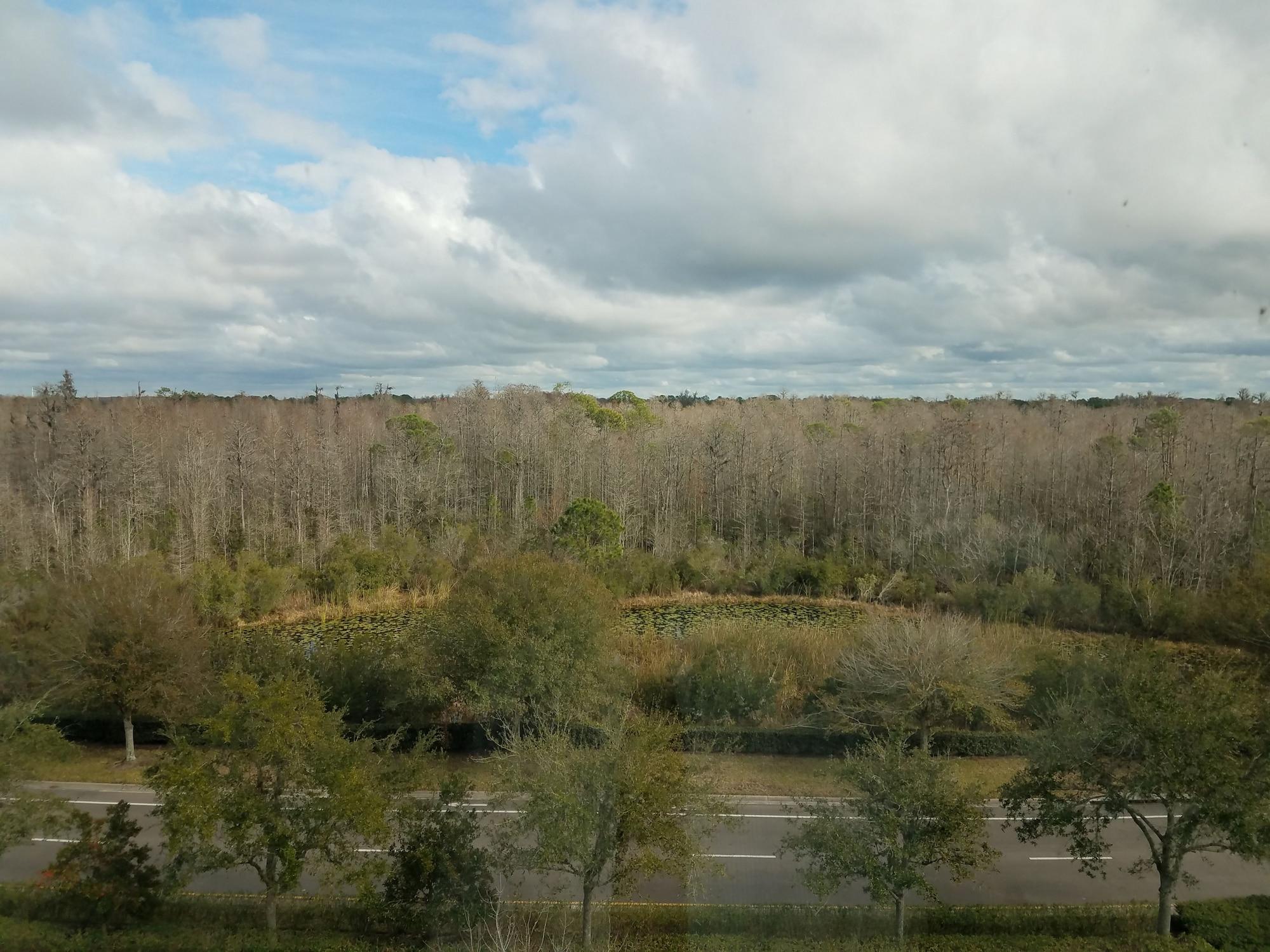 Hilton Garden Inn Tampa Suncoast Parkway Lutz Bagian luar foto