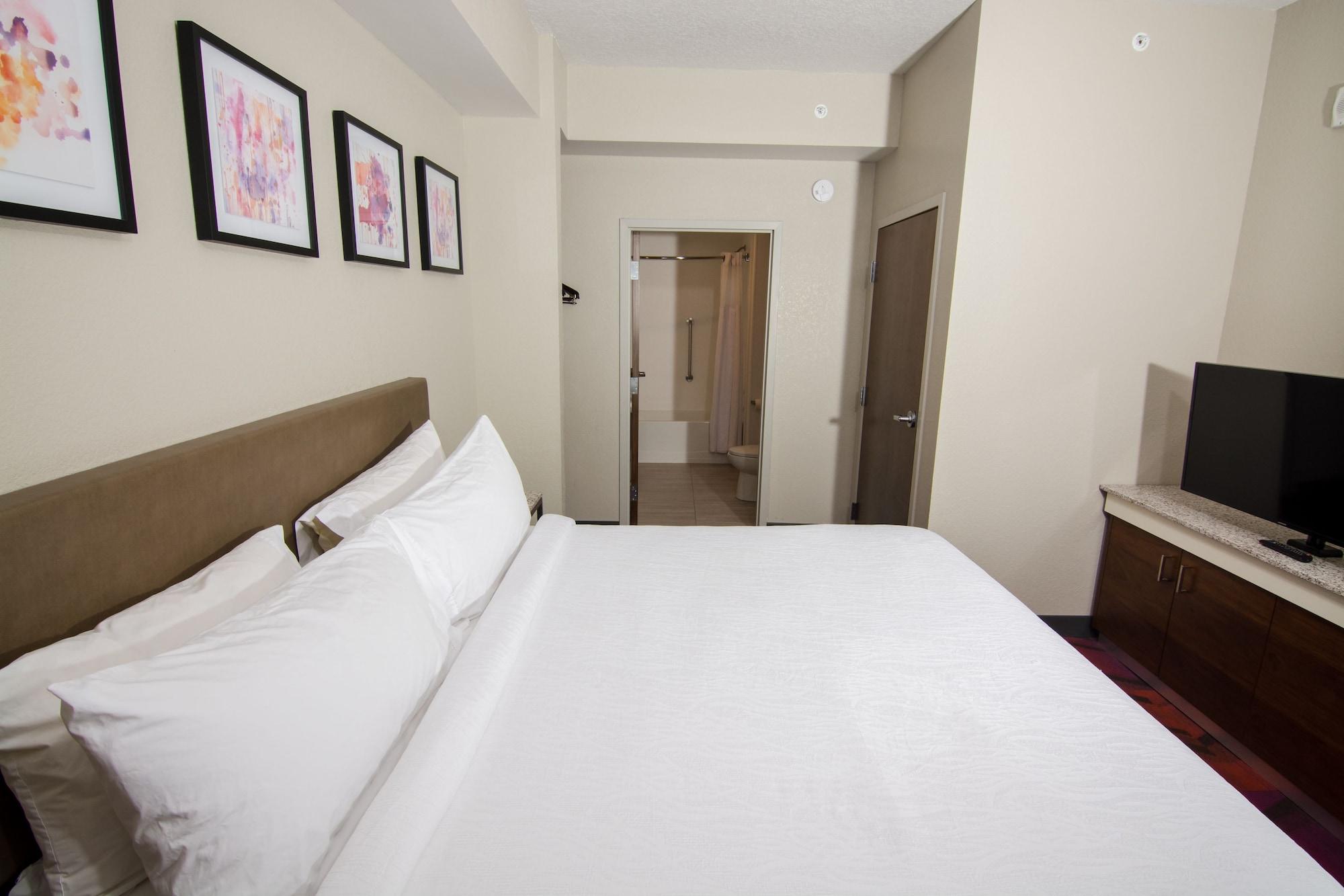 Hilton Garden Inn Tampa Suncoast Parkway Lutz Bagian luar foto
