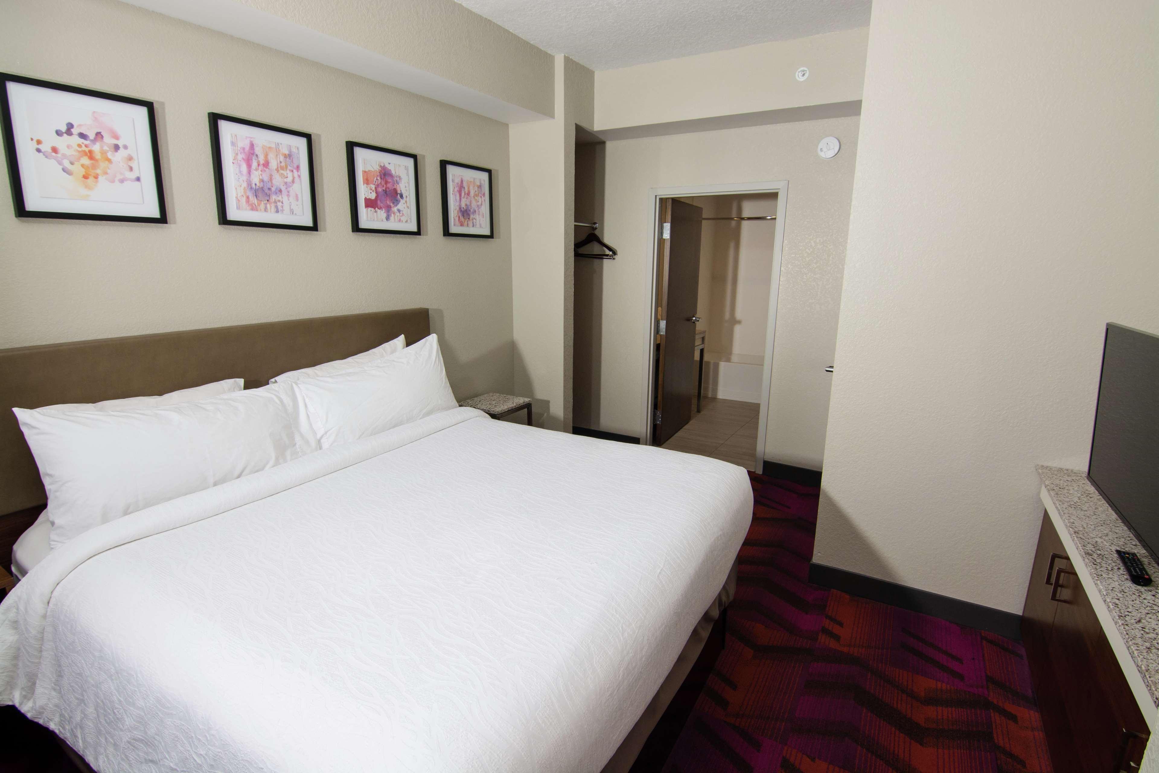 Hilton Garden Inn Tampa Suncoast Parkway Lutz Bagian luar foto