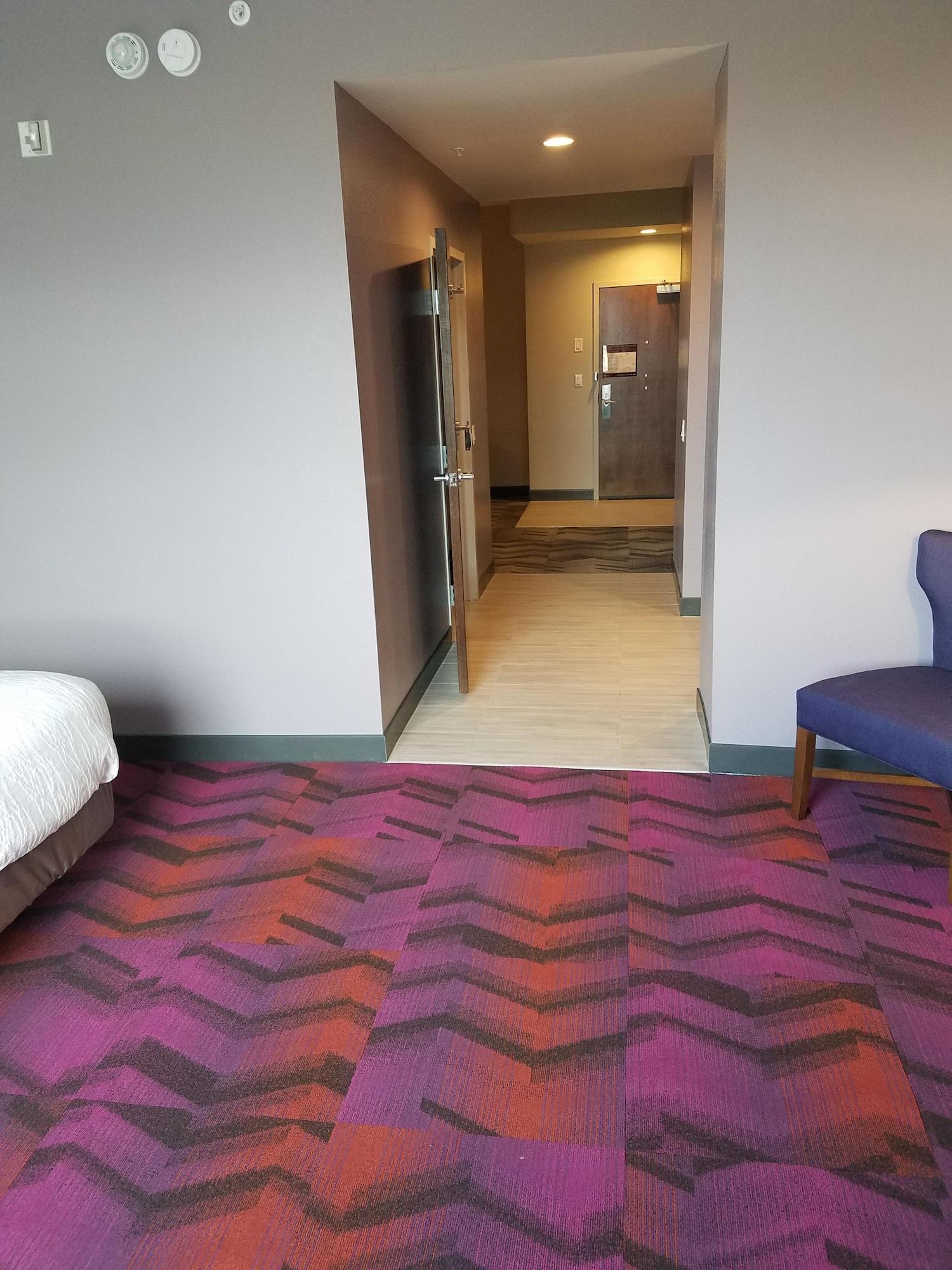 Hilton Garden Inn Tampa Suncoast Parkway Lutz Bagian luar foto